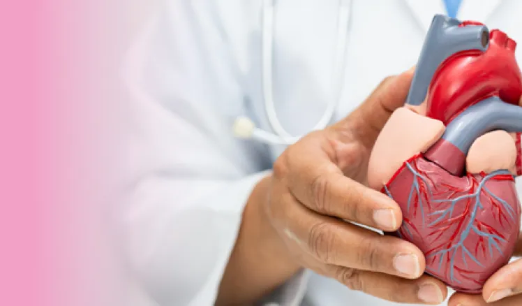 Enfermedades cardiovasculares, principal causa de muerte en el mundo