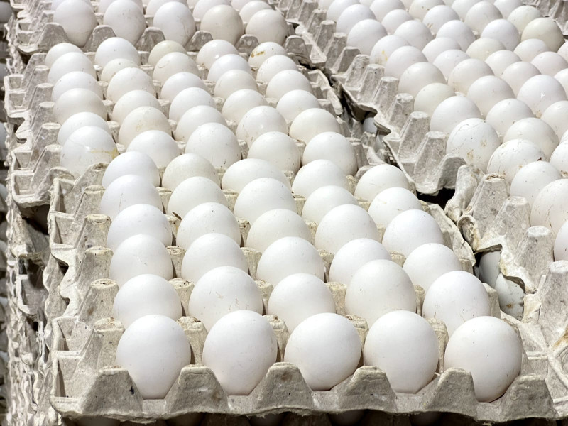 Beneficios de usar huevos más allá de la alimentación