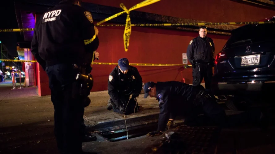 NYPD investiga extraños ingresos a alcantarillas en Brooklyn
