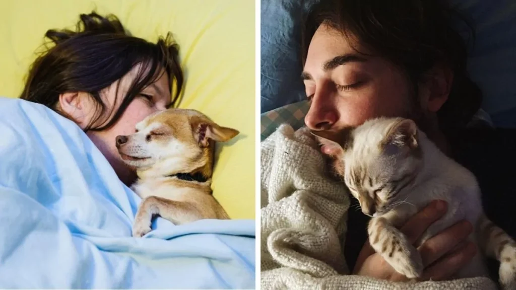¿Dormir con perros o gatos afecta la salud y la calidad del sueño?